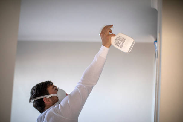 Best Crawl Space Mold Removal  in Rogers, AR
