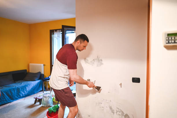 Best Water Damage Restoration  in Rogers, AR